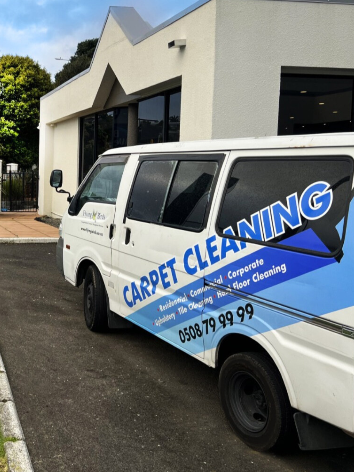Affordable Carpet Cleaning Services Auckland | Professional & Spotless Cleaning NZ