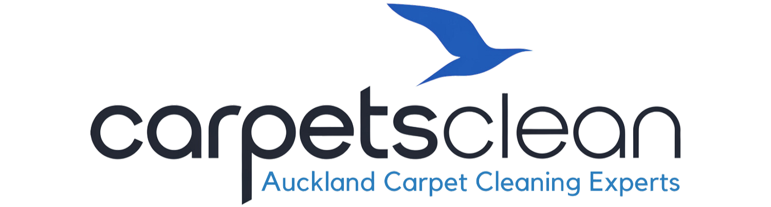 Affordable Carpet Cleaning Services Auckland | Professional & Spotless Cleaning NZ