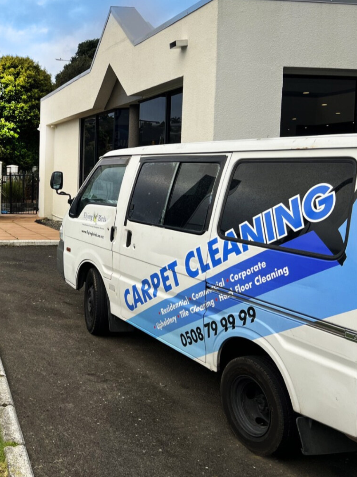 Affordable Carpet Cleaning Services Auckland | Professional & Spotless Cleaning NZ